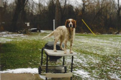 Waiting To Start the Hunt