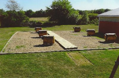 The Kennel Area at Real Sport Setters