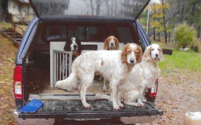 Waiting To Start the Hunt