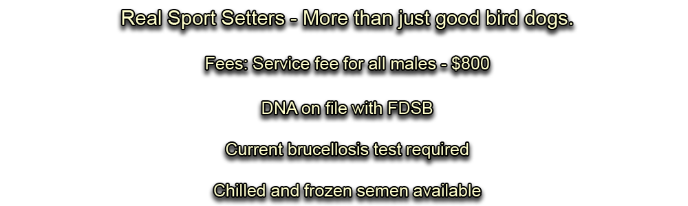 Fees for all males is $600, DNA on files with FDSB, current brucellosis test required, chilled and frozen semen available